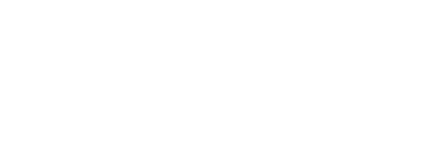 Fundación Aguirre, Azuela, Chávez, Jáuregui Pro Derechos Humanos A.C.
